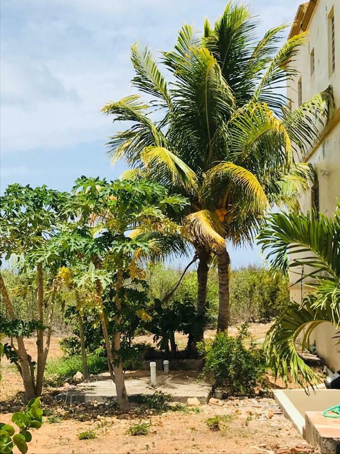 White Sands Anguilla - Sea Blowing Point Village Экстерьер фото